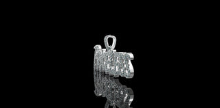 14k white gold "priceless" style custom diamond pendant