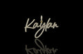 14k yellow gold custom "kaylan" style diamond pendant