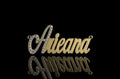 14k yellow gold custom "ariena" style diamond pendant