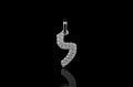 14k white gold custom diamond hebrew letter pendant