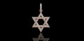 14k rose gold star of david diamond pendant