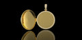 14k yellow gold 3D diamond picture pendant locket