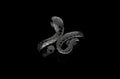 14k custom made black gold PVD snake diamond ring