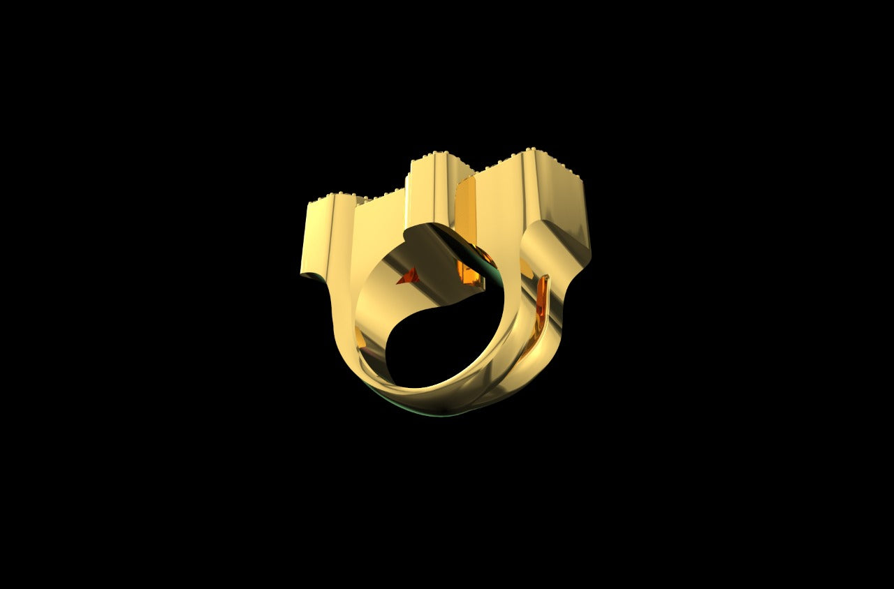 14k yellow gold custom 3d "AP" style diamond ring