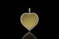 14k yellow gold Heart shaped diamond picture pendant