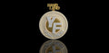 14K 2 TONE YELLOW AND WHITE GOLD ROUND DOUBLE LAYER CUSTOM "YOUNG FRESH" STYLE DIAMOND PENDANT